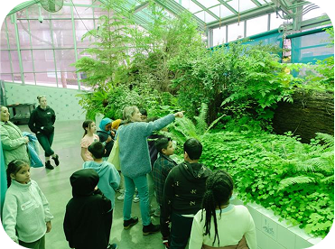 A group of children and adults gathered in a greenhouse, observing lush green plants. An adult points toward a section of the foliage, engaging the children in learning.