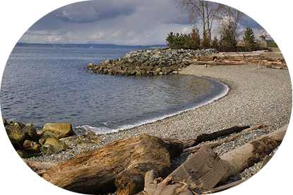 Rocky shoreline with driftwood, small waves, and cloudy sky. Trees and a stone jetty are visible in the background.