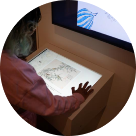 A person in a pink outfit interacts with a touchscreen display showing botanical and butterfly illustrations in a museum or gallery setting.